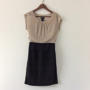 Enfocus Studio Black & Gold Shimmer Dress